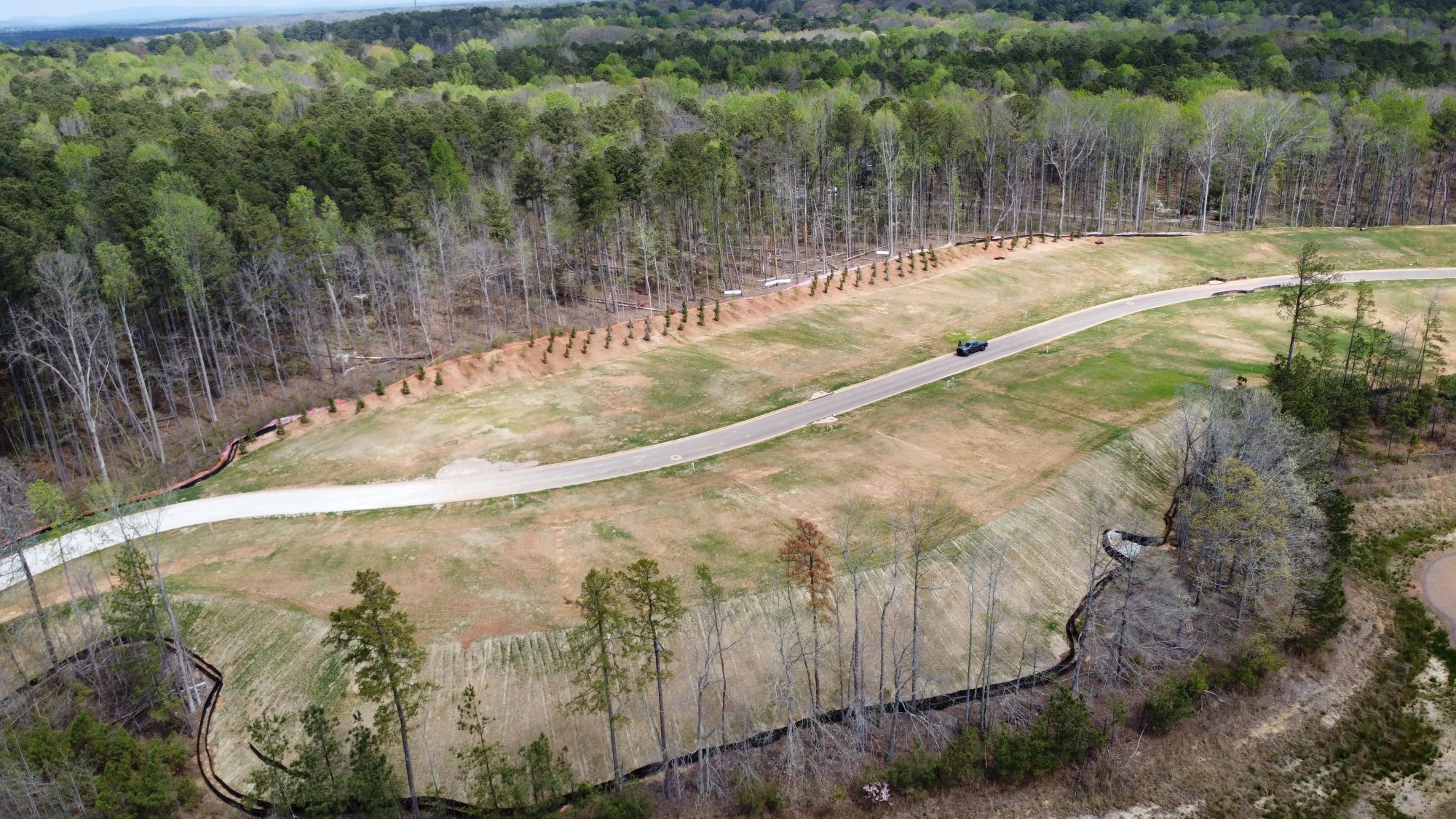 A road with trees on the side.