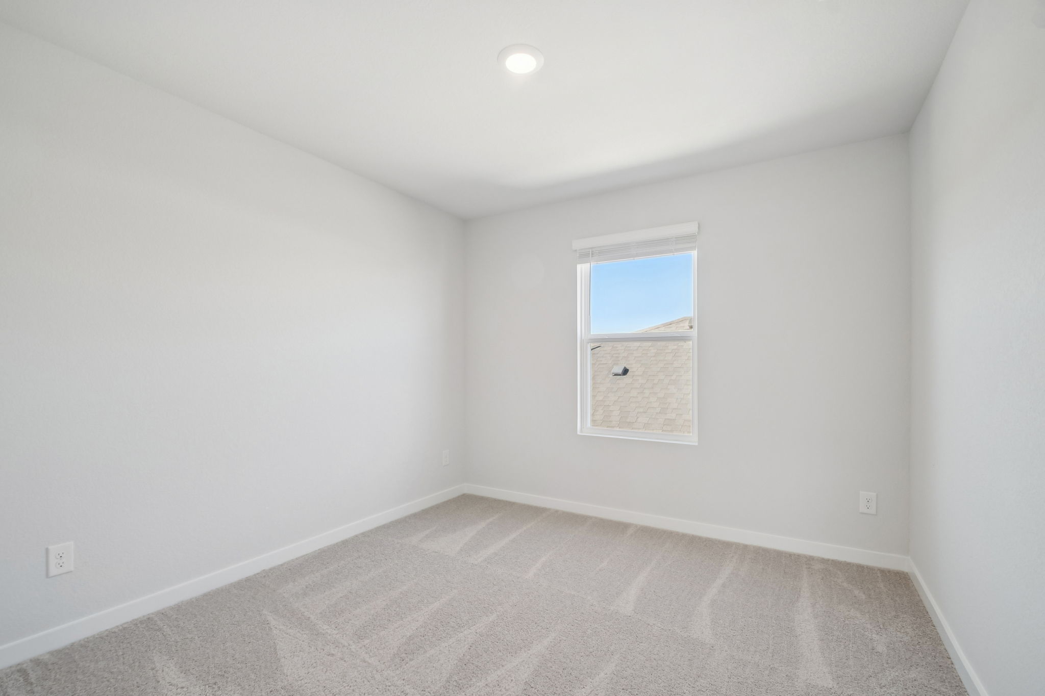A room with a window and a rug.