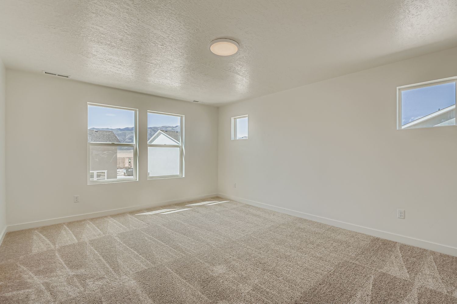 A room with a carpet and windows.